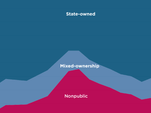 China's share of companies in private sector saw small uptick in second half of 2024 after years of decline 