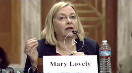 Mary E. Lovely testifies on May 23, 2024