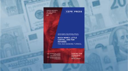 Geneva Report launch: Much Money, Little Capital, and Few Reforms