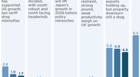 Most large, advanced economies face slower GDP growth next year, while China and India withstand tariff drag