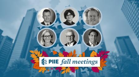 Europe in a changing international monetary system