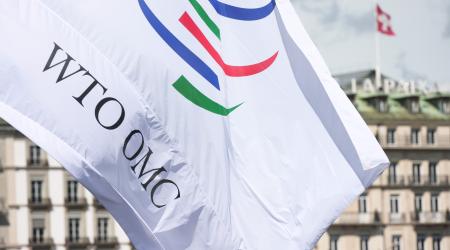 The WTO flag is pictured at its headquarters in Geneva. World Trade Organization (CC BY-SA 4.0). 