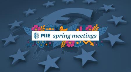 The future economic architecture of the eurozone 