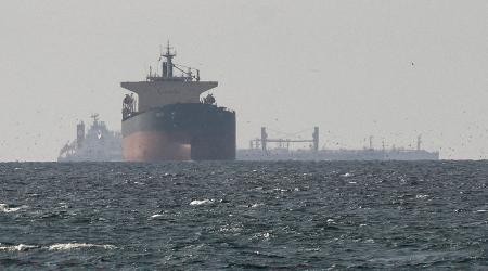 Cargo ships in the Gulf, near the Strait of Hormuz, amid the US-Israeli conflict with Iran. Photo taken March 11, 2026. 