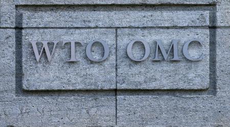 The headquarters of the World Trade Organization (WTO) are pictured in Geneva, Switzerland, April 12, 2017. 