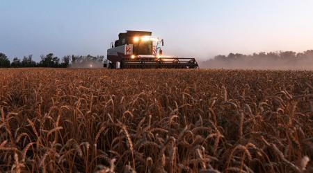 A combine harvests wheat in a field near the village of Nedvigovka in Rostov Region, Russia July 13, 2021. 