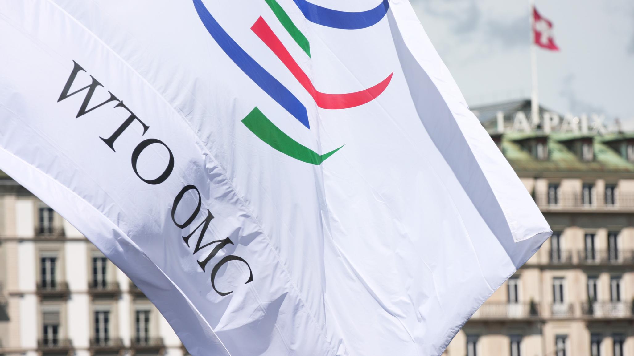 The WTO flag is pictured at its headquarters in Geneva. World Trade Organization (CC BY-SA 4.0). 