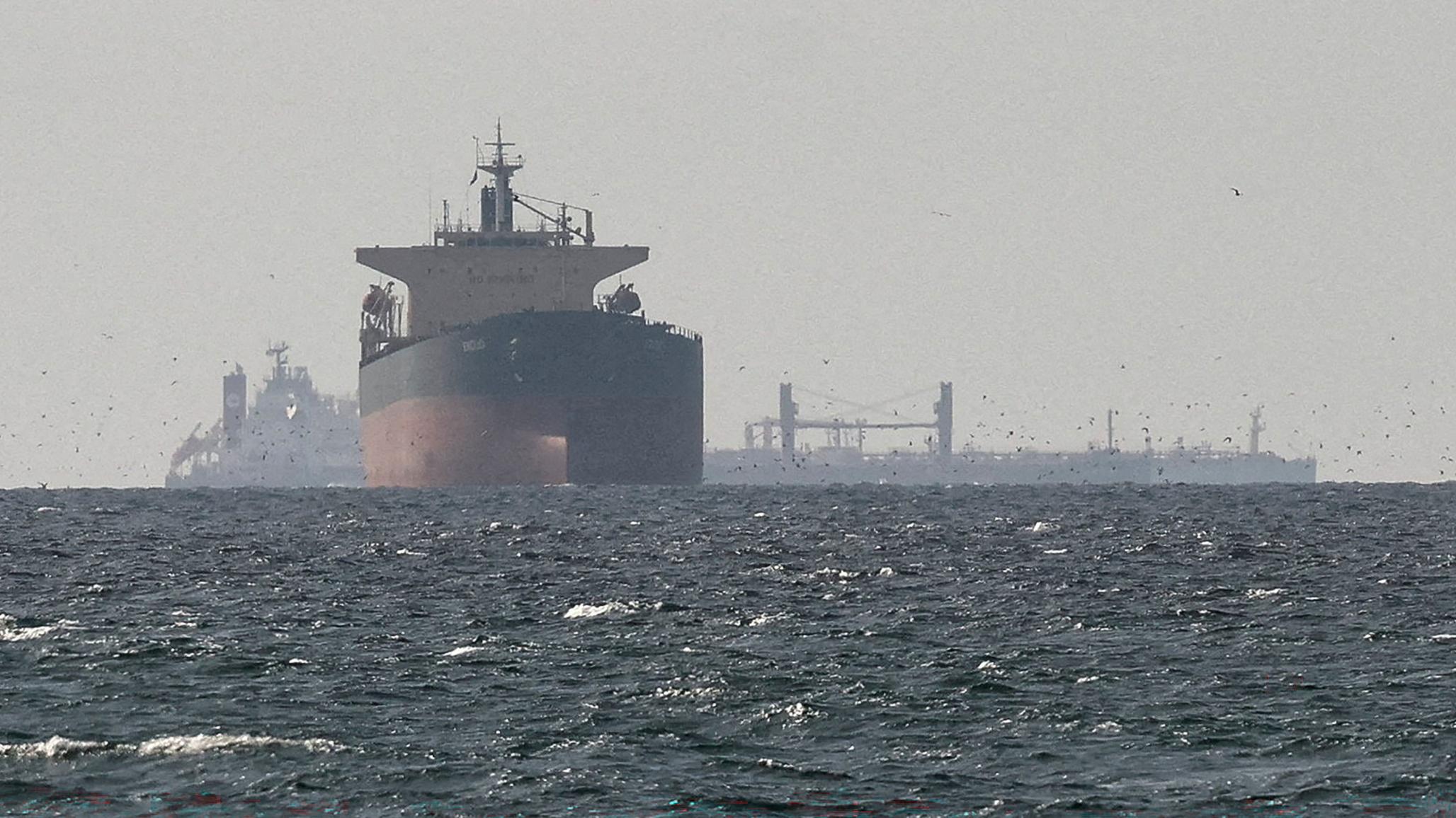 Cargo ships in the Gulf, near the Strait of Hormuz, amid the US-Israeli conflict with Iran. Photo taken March 11, 2026. 