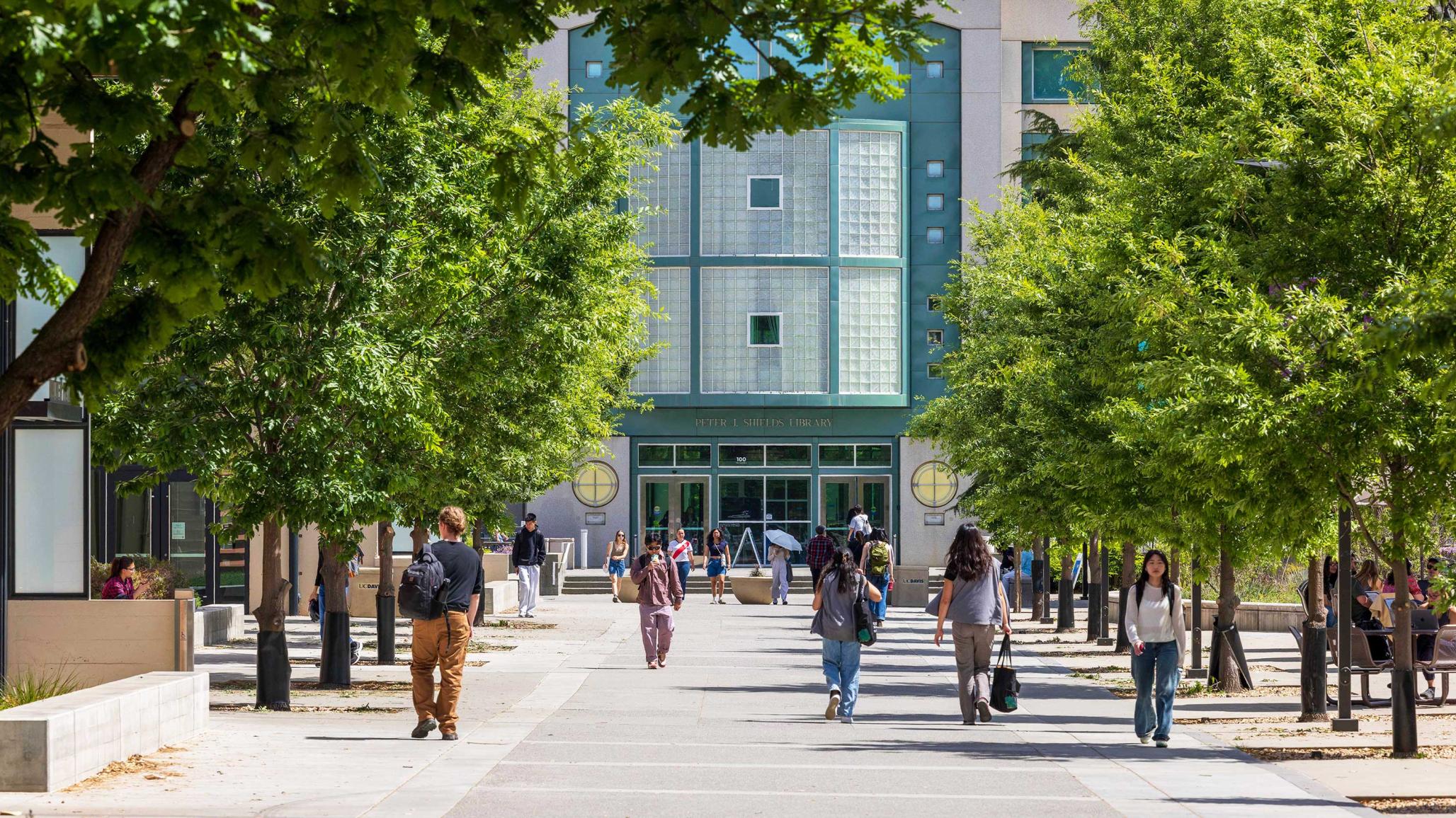University students walk in front of the Peter J. Shields Library on the campus of the University of California, Davis. April 2025. 